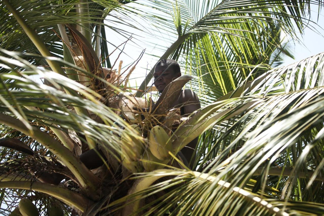 Coconut Village Beach Resort Diani Beach Esterno foto